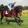 Liebling seines Trainers: Protektor mit Mark Rimmer beim Aufgalopp in Köln 1999. www.galoppfoto.de - Peter Heinzmann