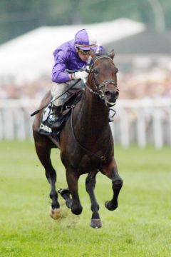 Nicaron mit Davy Bonilla gewinnt das BMW 136. Deutsches Derby. www.galoppfoto.de - Frank Sorge