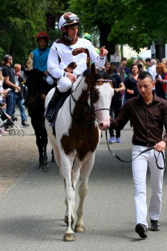 Silvery Moon mit Champion-Jockey Andrasch Starke nach seinem 2. Platz beim Deutschland-Debut in Köln. www.galoppfoto.de - Sandra Scherning