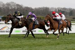 Knapp ging es zu im Kölner Grand Prix Aufgalopp: Vif Monsieur (links) ist mit Coen Clijmans eine Nasenlänge voraus. www.galoppfoto.de - Sandra Scherning