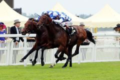 Al Kazeem gewinnt mit James Doyle die Prince of Wales's Stakes. Foto: www.galoppfoto.de - Frank Sorge