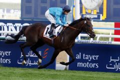 Brown Panther siegt im Dubai Gold Cup 2015. www.galoppfoto.de - Frank Sorge