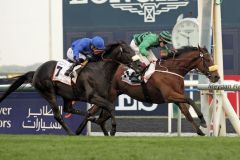 Certerach avanciert im Dubai Gold Cup zum Gruppesieger und schlägt den Favoriten Cavalryman. Foto: www.galoppfoto.de - Erika Rasmussen