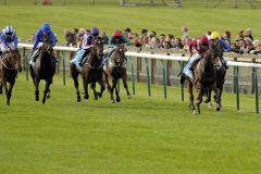 Belardo setzt sich gegen fünf Konkurrenten in den Dewhurst Stakes durch. Foto: www.galoppfoto.de - Jim Clark/Sorge