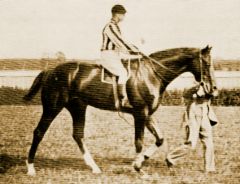 1883 ein halber Derbysieger: Geier (Totes Rennen  mit Hardenberg)