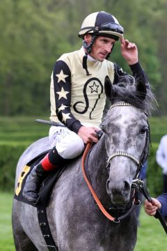  Aradous mit Andrasch Starke am 28.04.2023 in Krefeld. ©galoppfoto - Stephanie Gruttmann