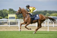 Torquator Tasso mit René Piechulek beim Aufgalopp zu den King George and Queen Elizabeth Stakes, Gr. I, in Ascot, wo er Zweiter wurde. ©galoppfoto - Jimmy Clark 