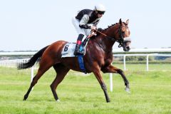  Flamingo Girl mit Andrasch Starke beim Aufgalopp bei der Großen Woche 2021. ©galoppfoto - Frank Sorge