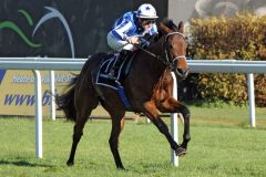  Maraseem gewinnt mit Jozef Bojko im 2yo-Maiden in München. ©galoppfoto - WiebkeArt