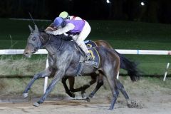 Suave Mali gewinnt mit Amina Mathony 2011 in Dortmund. ©galoppfoto - Stephanie Gruttmann