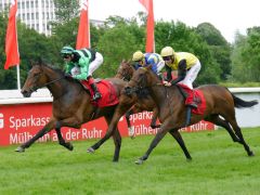 Ephraim gewinnt das Dreijährigenrennen in Mülheim vor Suzanita. Foto: Karina Strübbe