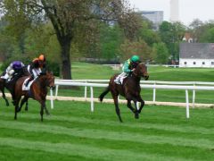 Die Derbynennung bestätigt? Guter Saisonauftakt für Stall PIDAS Serienlohn mit Andrasch Starke. Foto: Karina Strübbe