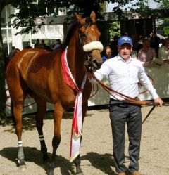 Ajaxana im Absattelring - Siegerin in den 94. German 1000 Guineas. www.dequia.de