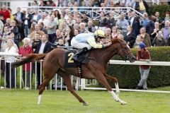 Al Queena mit Michael Cadeddu gewinnt in Hoppegarten über 1400 Meter. www.galoppfoto.de - Frank Sorge