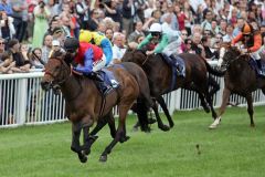 Almandin  gewinnt den Großen Preis der Badischen Unternehmer mit Filip Minarik vor Protectionist und dem  letztjährigen Derbysieger Lucky Speed. www.galoppfoto.de - Sarah Bauer