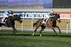 Eines der besten Pferde der Welt: Almond Eye gewinnt den Dubai Turf. www.galoppfoto.de