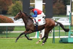 Gr. I-Sieg im Handgalopp: Gestüt Schlenderhans Alson und Frankie Dettori hatten im Criterium International nur einen Gegner. Foto: Dr. Jens Fuchs