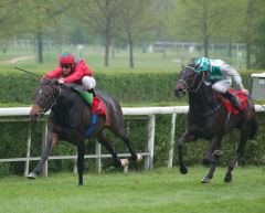 Andrasch Starke steuert Gestüt Ammerlands Hot Beat beim Dreijährigen-Rennen in Mülheim zum Sieg. www.muelheim-galopp.de - Redaktion MSPW