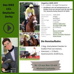 Geht mit der Nr. 19 ins IDEE 153. Deutsche Derby - Angelino. ©galoppfoto - Turf-Times - Dr. Jens Fuchs