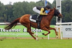 Anna Mia gewinnt mit Rafael Schistl im Dreijährigen-Maiden in Hannover. www.galoppfoto.de - Sabine Brose