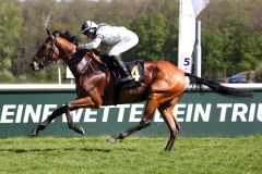 Atoso gewinnt mit Lilli-Marie Engels am 30.04.2023 in Hoppegarten. ©galoppfoto - Sabine Brose