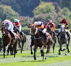 Avorio gewinnt am 13.8.2017 in Krefeld - Foto: Dr. Jens Fuchs