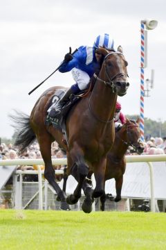 Bekommt der ungeschlagene Weltranglistenerste Baaeed - hier in den International Stakes in York - eine Nachnennung für den Arc? ©galoppfoto - Jimmy Clark