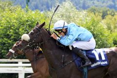 Bad Harzburg, Mr Beauregard (Nr. 11) mit Michael Cadeddu gewinnt am 30.07.2016. www.galoppfoto.de