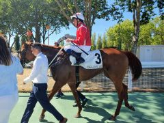 Saffron Beach unter William Buick nach ihrem fünften Gruppe-Sieg. Foto: offizell