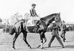 Herold beim Hamburger Derby mit Julius Rastenberger im Sattel. www.galopp-hamburg.de