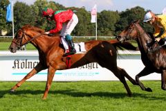 Bella Duchessa mit Dennis Schiergen gewinnt in Köln am 27.09.2014. www.galoppfoto.de - Sandra Scherning