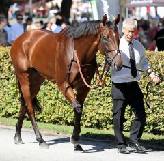 Benbatl im Führring am 29.7.2018 in München - Foto: Dr. Jens Fuchs