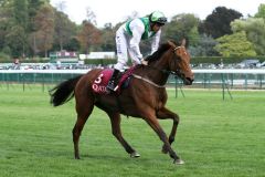 Sah das Feld nur von ganz hinten: Berlin Berlin - hier mit Adrie de Vries beim Aufgalopp zum Prix Royallieu. Foto: Dr. Jens Fuchs