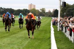 Der 183:10 Aussenseiter Brisanto gewinnt mit Martin Seidl für den Stall Litex und Trainer Miltcho Mintchev überraschend den Preis des Winterfavoriten. www.galoppfoto.de - Sandra Scherning