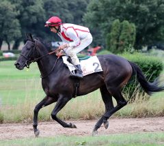 Caesara am 18.8.2019 in Düsseldorf - Foto: Dr. Jens Fuchs