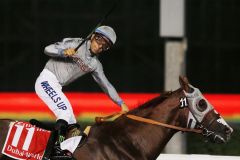 Sechs Millionen Dollar verdient: California Chrome gewinnt unter Victor Espinoza den Dubai World Cup. www.galoppfoto.de