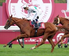 Call the Wind gewinnt den Prix Cadran am 6.10.2018 in Longchamp - Foto: Dr. Jens Fuchs