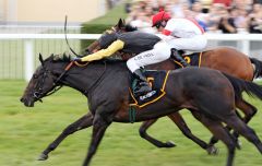 Die Shamardal-Tochter Celebrity wächst über sich hinaus, gewinnt mit Adrie de Vries den Coolmore Stud Baden-Baden Cup. www.galoppfoto.de - Sarah Bauer