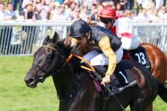 Chilly Filly siegt mit Bauyrzhan Murzabayev im Sattel im Wackenhut Mercedes Benz Fillies Cup in Baden-Baden auf Listenparkett. ©galoppfoto - Frank Sorge