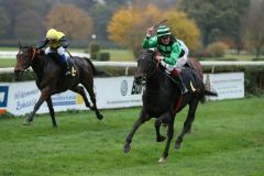 Colomano triumphierte unter Jockey Martin Seidl zur Quote von 56:10 im Großen Preis von Link in Krefeld der Tölke + Fischer Gruppe – Herzog von Ratibor-Rennen. Foto: Dr. Jens Fuchs