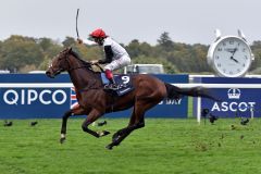 Cracksman gewinnt unter Frankie Dettori mit der "halben Bahn". www.galoppfoto.de - JJ Clark