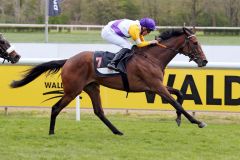 Nach Frankreich-Aufenthalt nun für den Asterblüte-Stall von Trainer Peter Schiergen unterwegs und gleich auf Listenparkett erfolgreich: Deia gewinnt mit Bauyrzhan Murzabayev den Brümmerhof-Cup. ©galoppfoto/Sabine Brose 