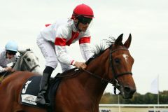 Die Tiger Hill-Tochter Fuscetta ging mit Alexander Pietsch als 132:10-Außenseiterin an den Start und ist im Ziel 1¼ Längen vor den Favoriten Runner Runner und Damour. www.galoppfoto.de - Sabine Brose 