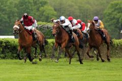 Deutschlands Top-Steher auf den letzten Metern der Zielgeraden im 41. Oleander-Rennen. www.hoppegarten.com - sorge