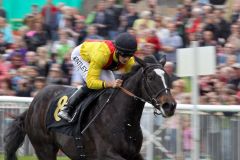 Die Doyen-Tochter Turfdonna gewinnt mit Harry Bentley für das Gestüt Auenquelle. www.galoppfoto.de - Frank Sorge