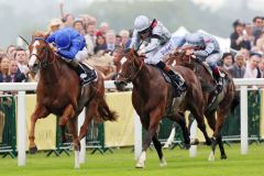 Die Perspektive von vorne: Dawn Approach (links) mit Kevin Manning gewinnt die St James's Palace Stakes  im Fotofinish. www.galoppfoto.de - Frank Sorge