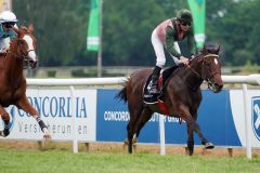 Ein Derbypferd? Donner Earl gewinnt auf der Heimatbahn Start-Ziel. www.galoppfoto.de - Marius Schwarz