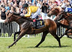 Dorado Gewinnt am 3.9.2017 in Baden-Baden - Foto: Dr. Jens Fuchs