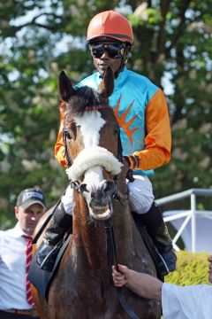 Earl of Tinsdal mit Eduardo Pedroza in Hoppegarten 2013. www.galoppfoto.de - Sabine Brose