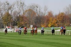 Ein spannendes Finish im Großen Preis von Bayern mit dem besten Ende für Sunny Queen und René Piechulek (4. v. links). www.galoppfoto.de - WiebkeArt